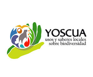 2007_2_logo_Yoscua